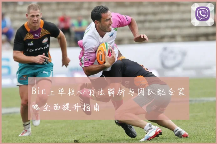 Bin上单核心打法解析与团队配合策略全面提升指南