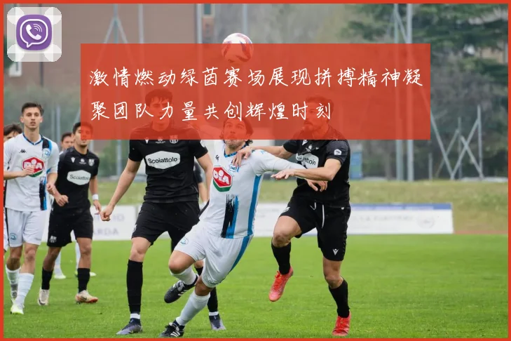 激情燃动绿茵赛场展现拼搏精神凝聚团队力量共创辉煌时刻